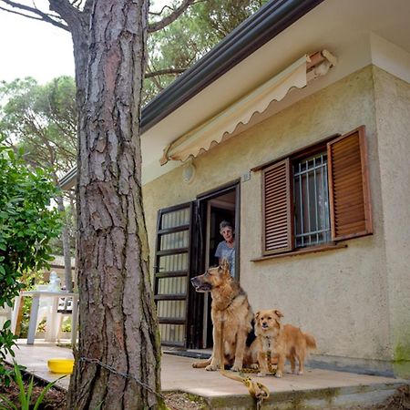 Arco Bungalow 에라클레아 마레 외부 사진