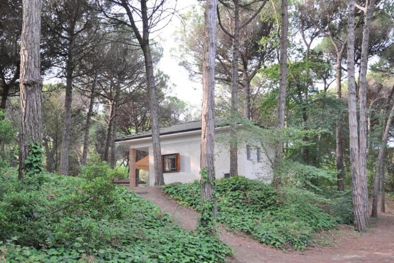 Arco Bungalow 에라클레아 마레 외부 사진