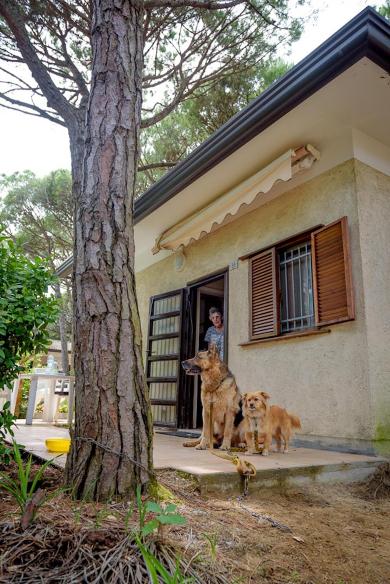Arco Bungalow 에라클레아 마레 외부 사진